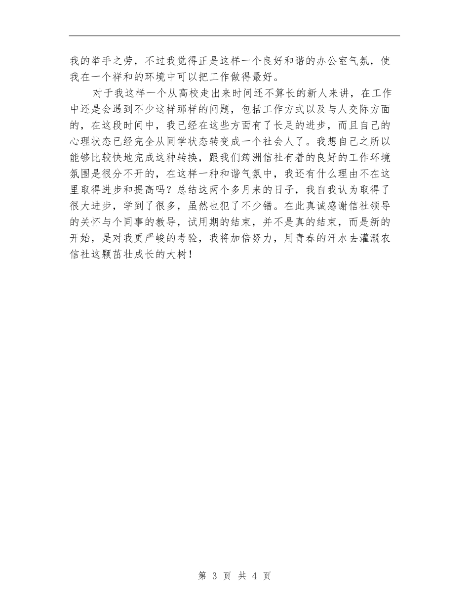 银行柜员试用期工作总结范文_第3页