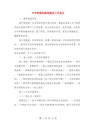 中小学塑胶跑道建设工作意见