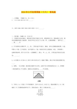 2024年小升初周周练(十六)-青岛版