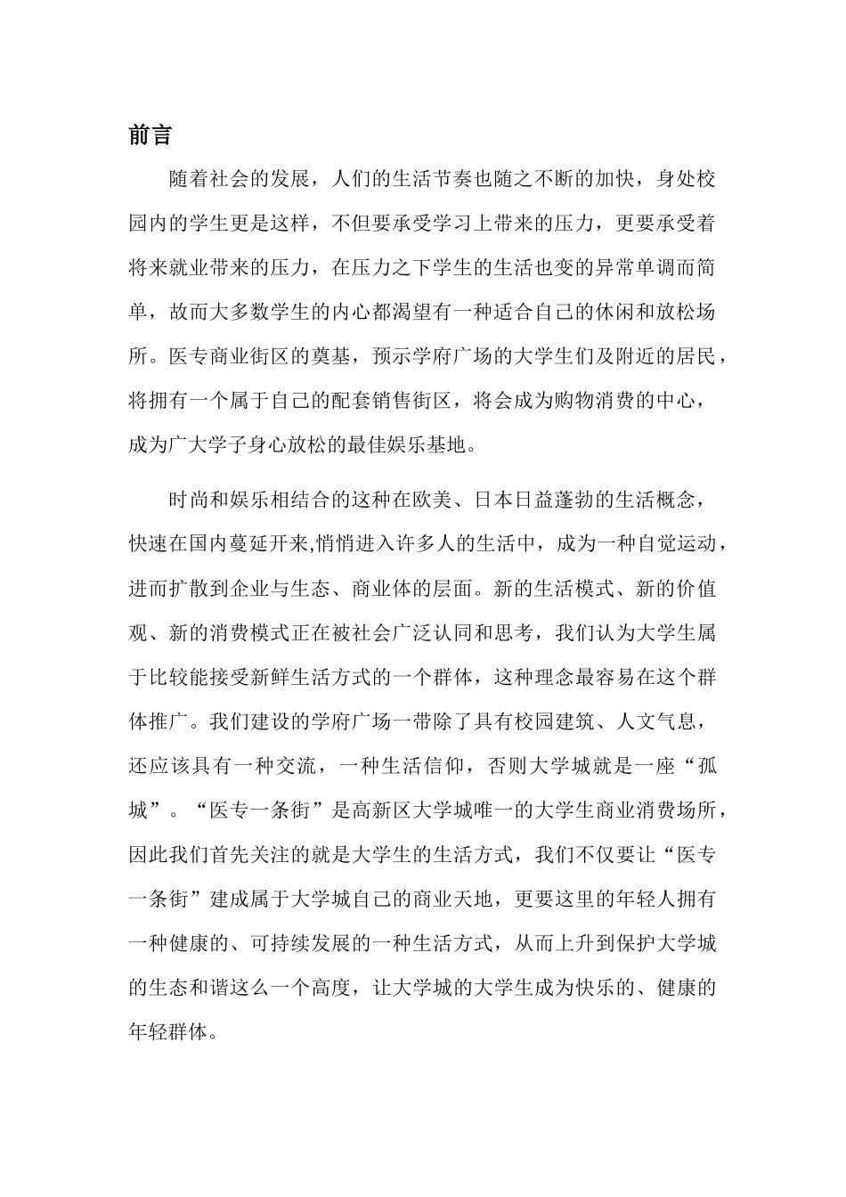 市场营销策划书_第3页