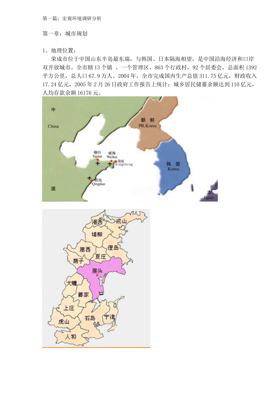 山东荣成某商业广场市调报告分析_第3页