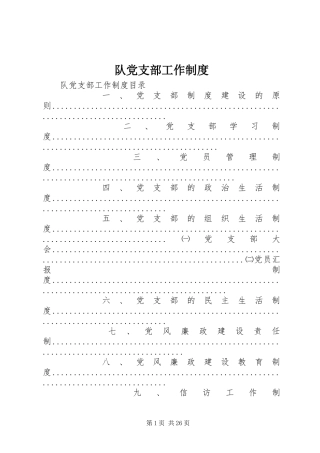队党支部工作规章制度