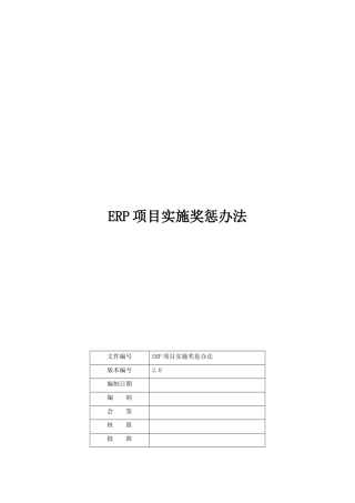 项目实施奖惩办法