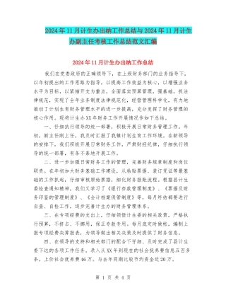 2024年11月计生办出纳工作总结与2024年11月计生办副主任考核工作总结范文汇编