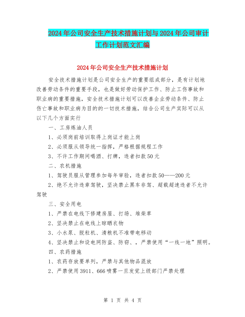 2024年公司安全生产技术措施计划与2024年公司审计工作计划范文汇编_第1页