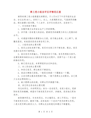 第三党小组自评互评情况汇报