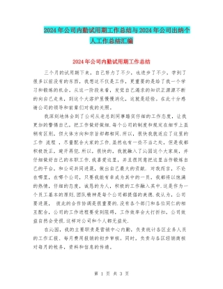 2024年公司内勤试用期工作总结与2024年公司出纳个人工作总结汇编