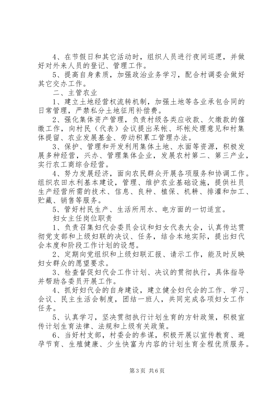 村岗位责任规章制度_第3页