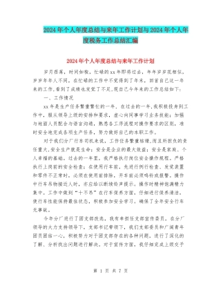 2024年个人年度总结与来年工作计划与2024年个人年度税务工作总结汇编