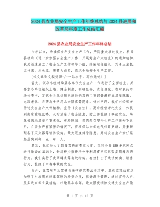 2024县农业局安全生产工作年终总结与2024县发展和改革局年度工作总结汇编