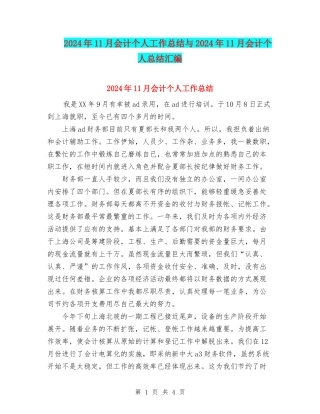 2024年11月会计个人工作总结与2024年11月会计个人总结汇编