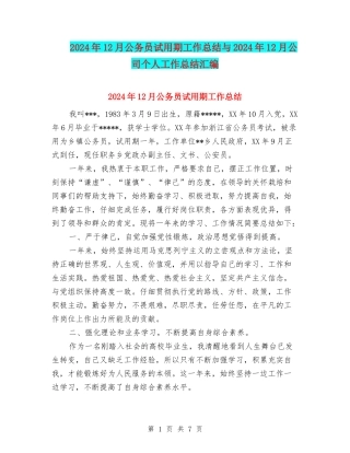 2024年12月公务员试用期工作总结与2024年12月公司个人工作总结汇编