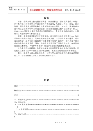 自主创业策划书(刘)