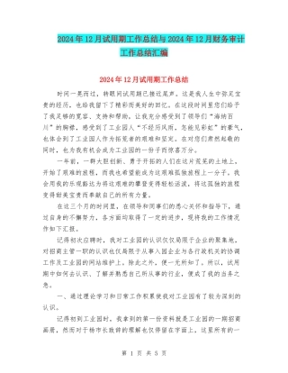 2024年12月试用期工作总结与2024年12月财务审计工作总结汇编