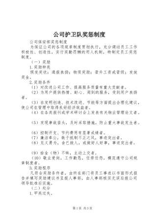 公司护卫队奖惩规章制度 