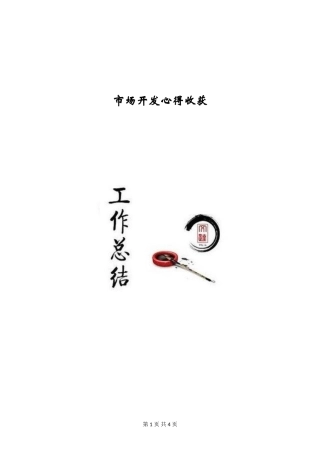 市场开发心得收获