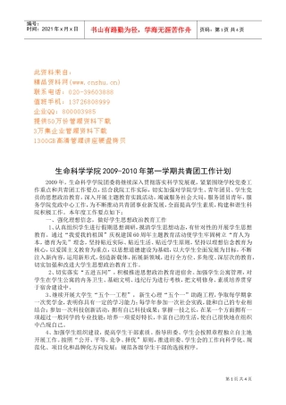 某某学院共青团工作计划