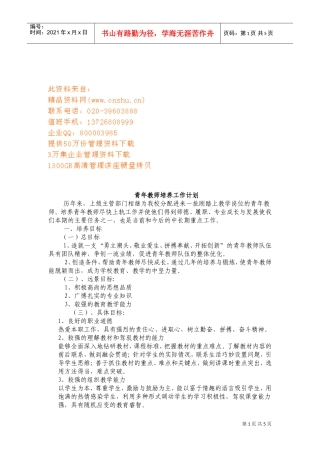 试谈青年教师培养工作计划