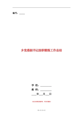 乡党委副书记挂职锻炼工作总结