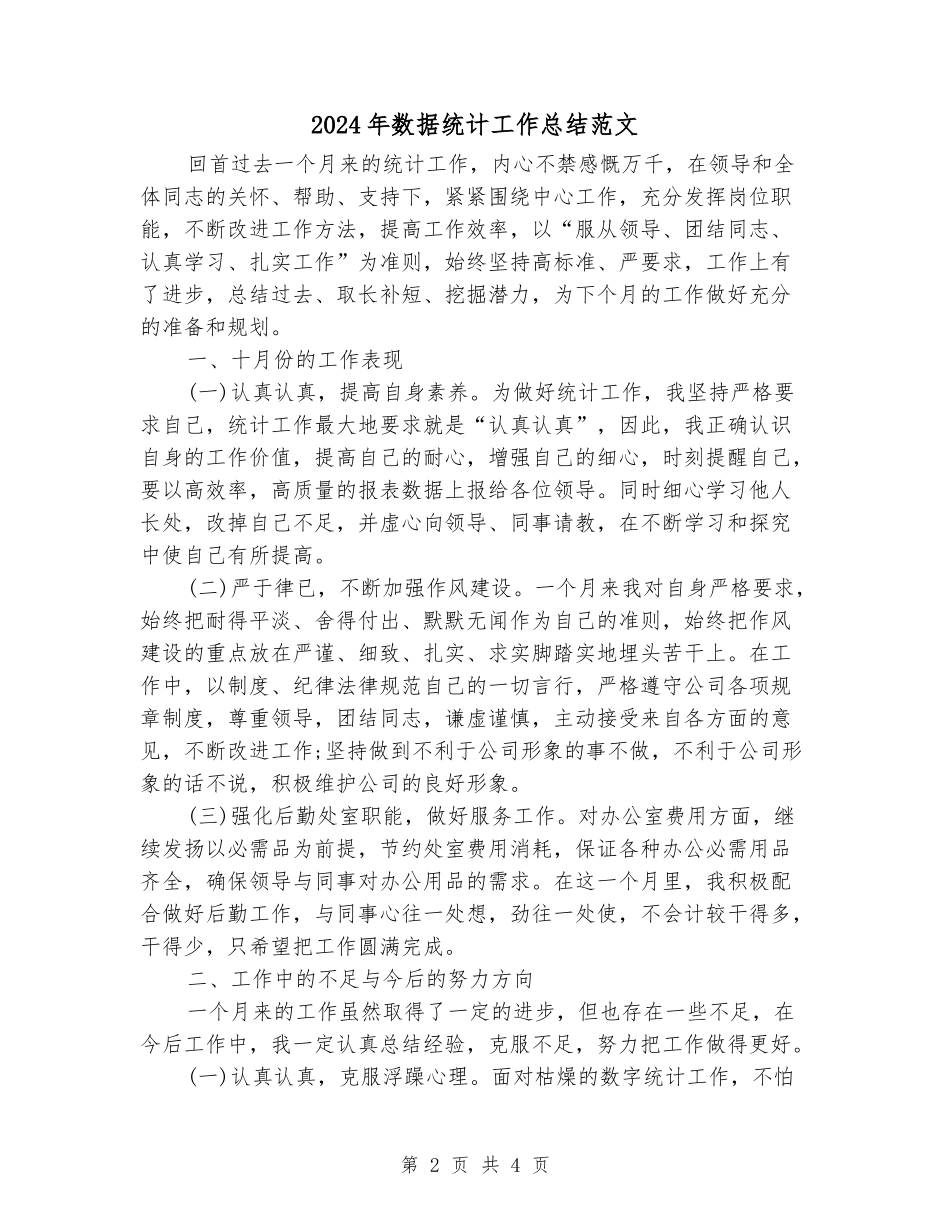 2024年数据统计工作总结范文_第2页
