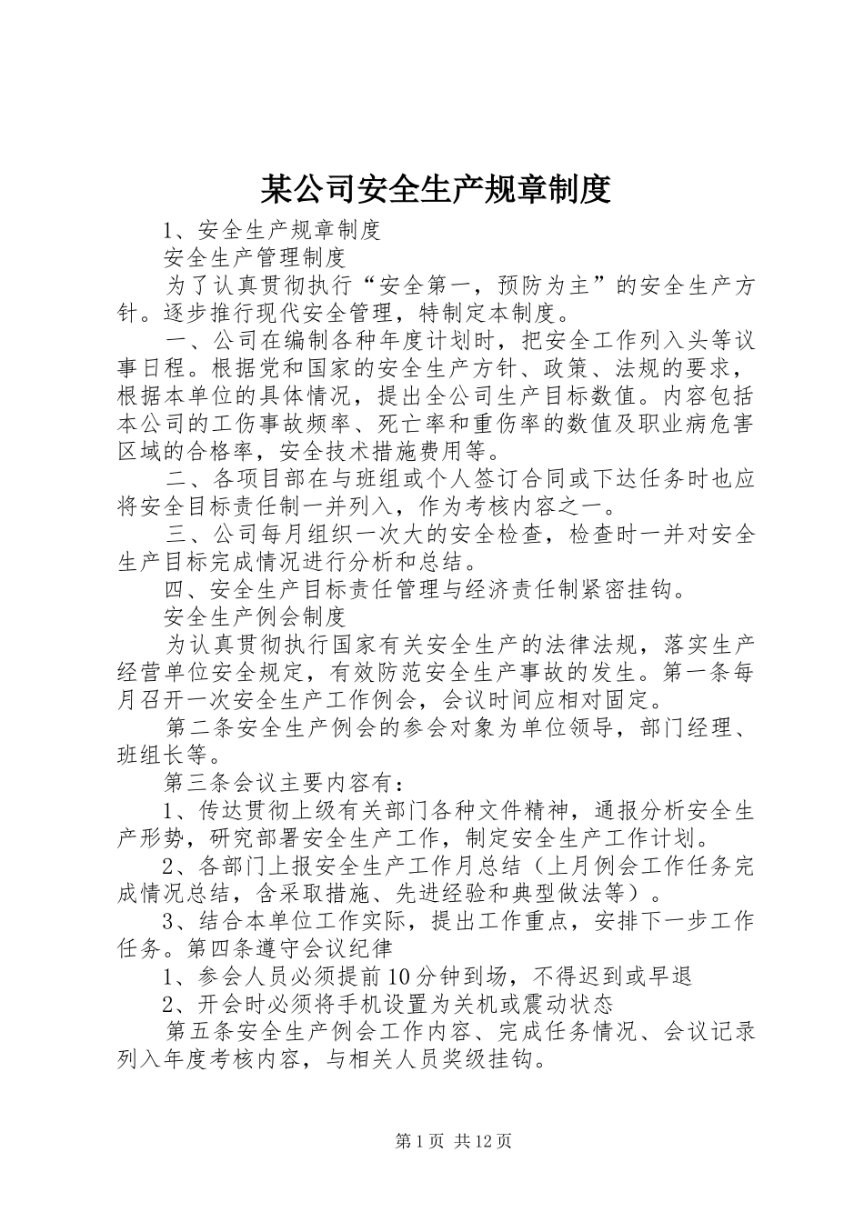 某公司安全生产规章规章制度_第1页