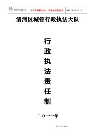 行政执法责任制全面推行依法行政工作