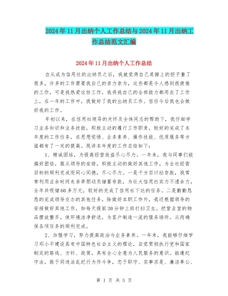 2024年11月出纳个人工作总结与2024年11月出纳工作总结范文汇编