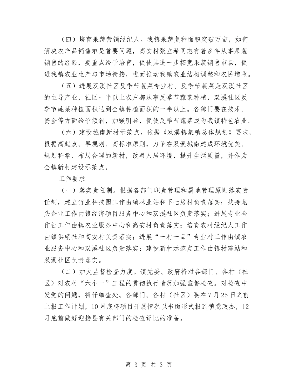 农村六个一项目方案_第3页