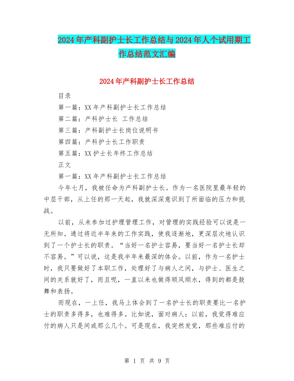2024年产科副护士长工作总结与2024年人个试用期工作总结范文汇编_第1页