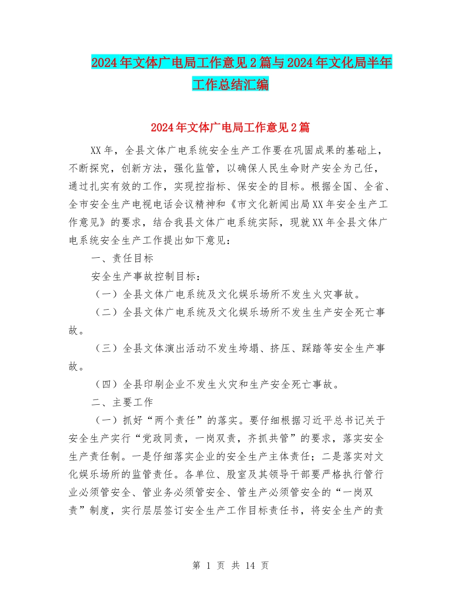 2024年文体广电局工作意见2篇与2024年文化局半年工作总结汇编_第1页