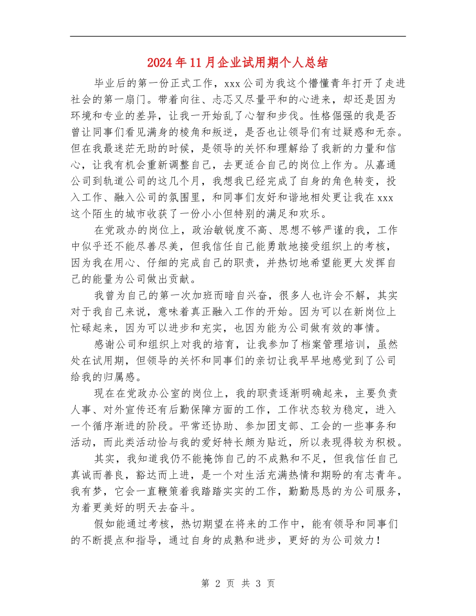 2024年11月企业试用期个人总结_第2页