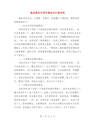 基层建设年项目推进会汇报材料