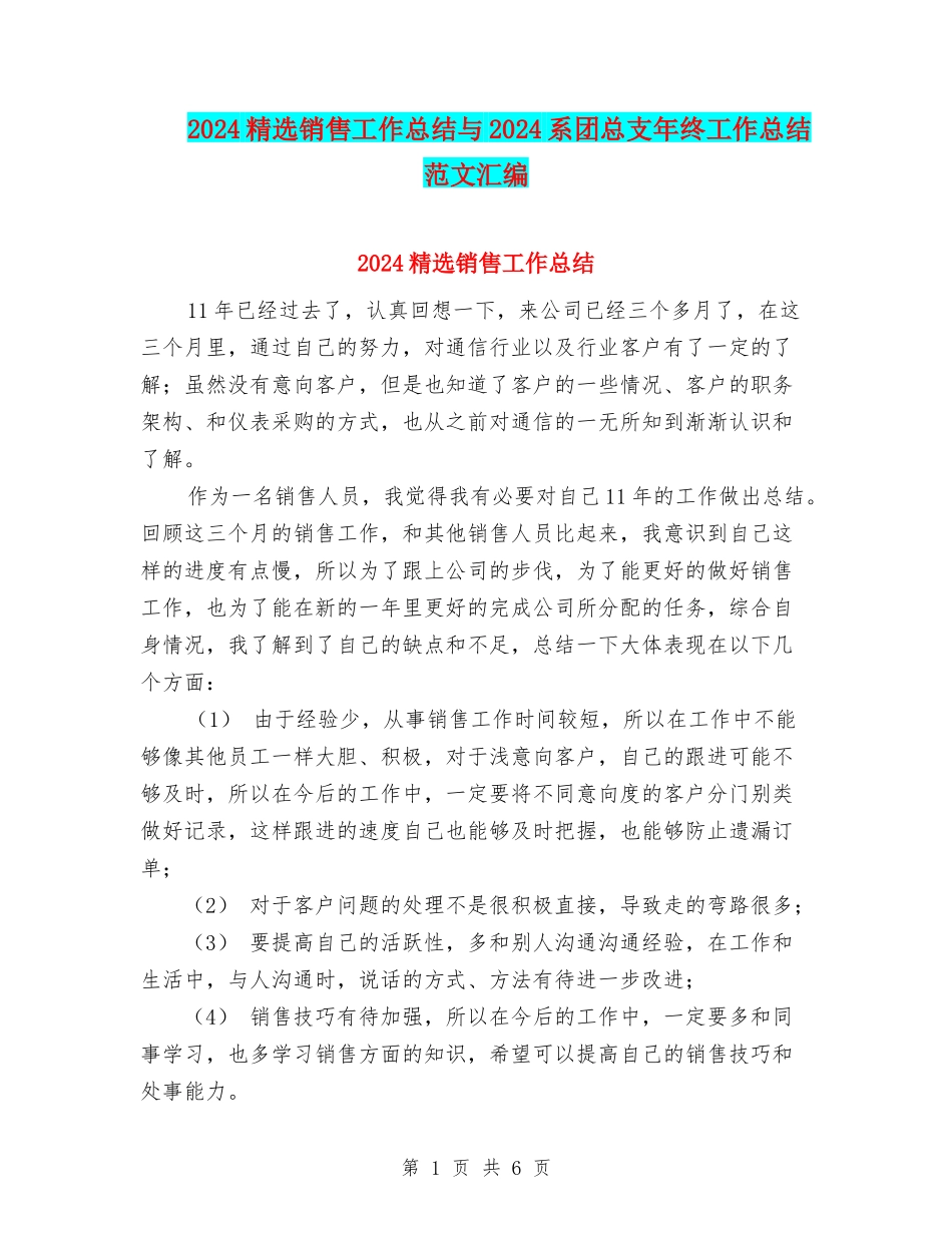 2024精选销售工作总结与2024系团总支年终工作总结范文汇编_第1页