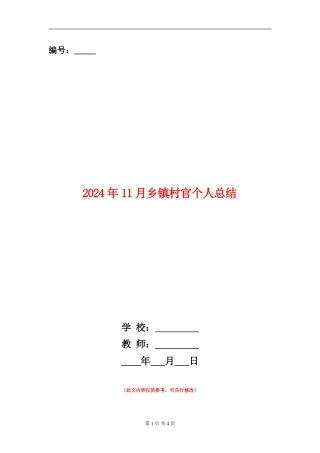 2024年11月乡镇村官个人总结