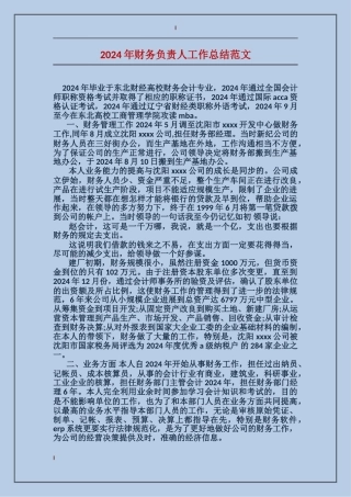 2024年财务负责人工作总结范文