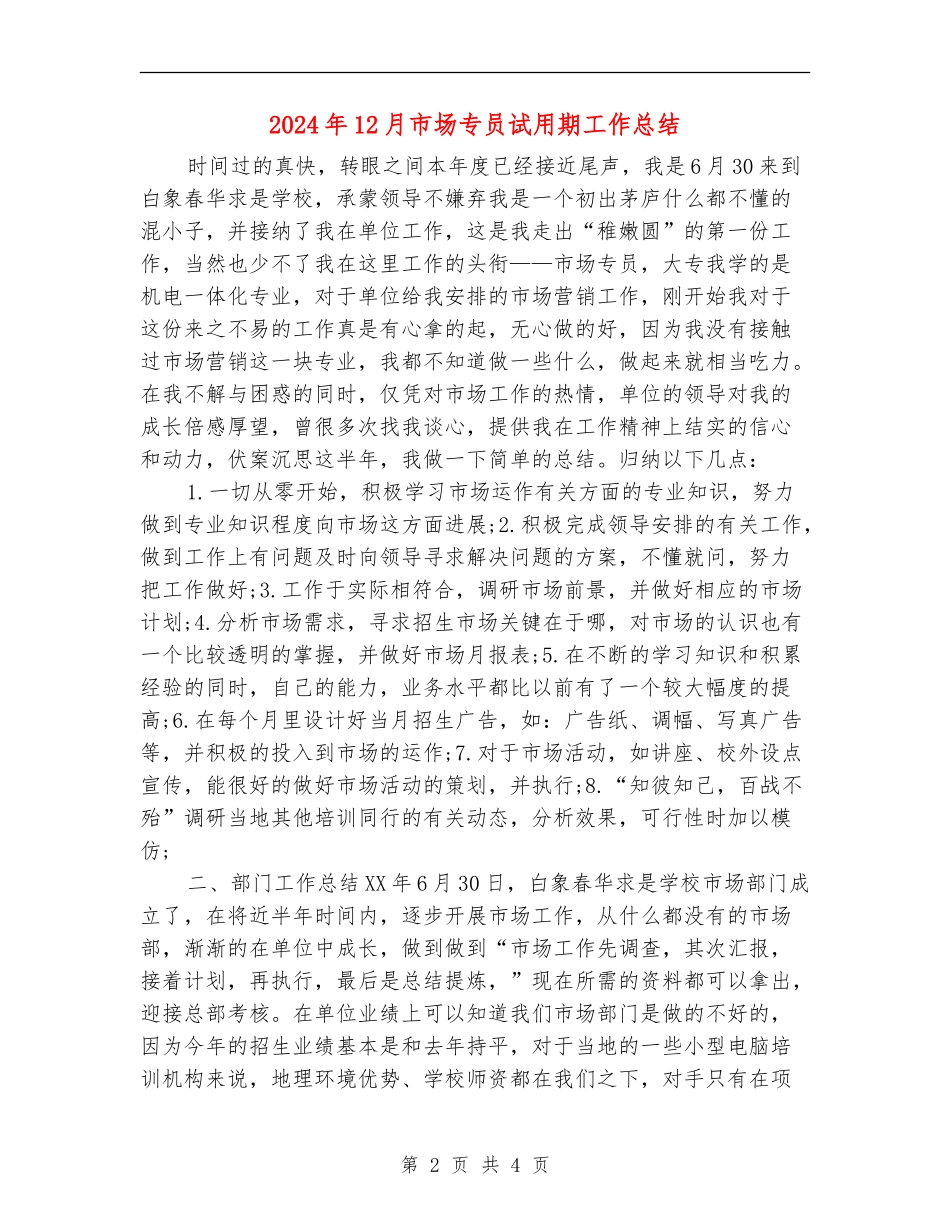 2024年12月市场专员试用期工作总结_第2页