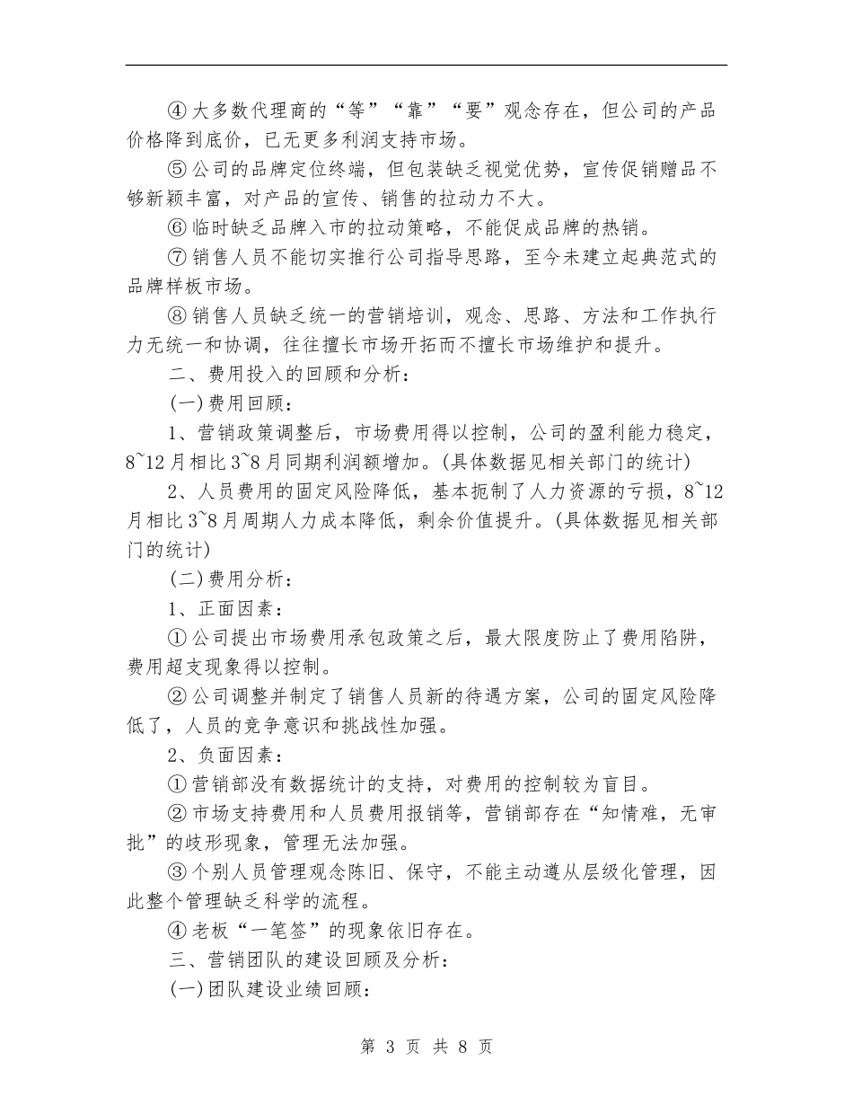 销售总监工作总结范文_第3页