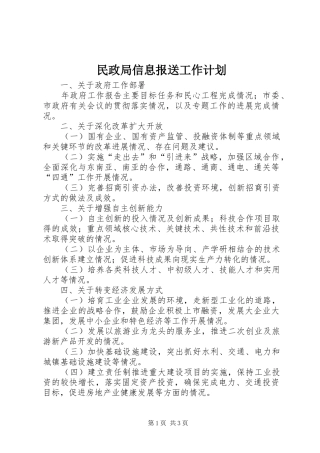 民政局信息报送工作计划