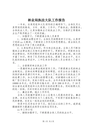 林业局执法大队工作报告 
