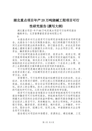 湖北重点项目年产20万吨烧碱工程项目可行性研究报告(撰写大纲) (3)