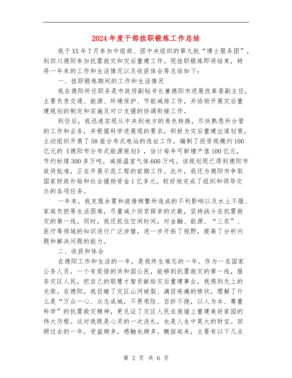 2024年度干部挂职锻炼工作总结_第2页