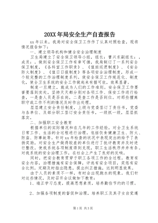20XX年局安全生产自查报告