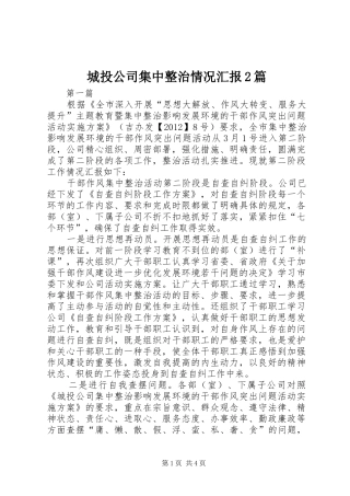 城投公司集中整治情况汇报2篇