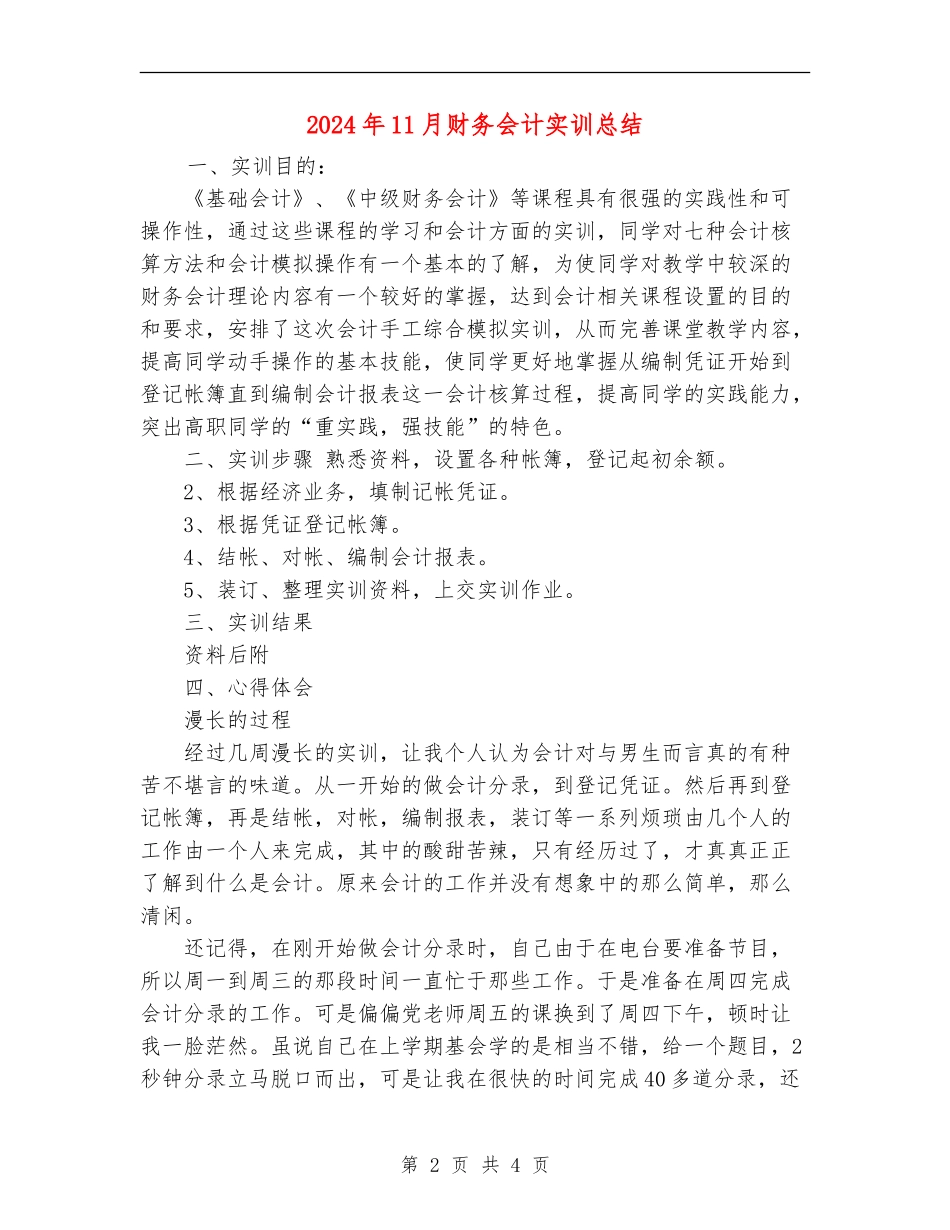 2024年11月财务会计实训总结_第2页