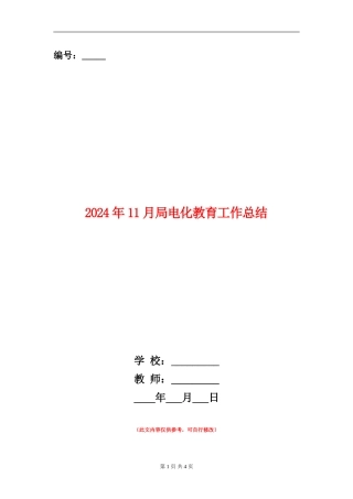 2024年11月局电化教育工作总结