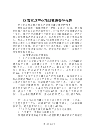 XX市重点产业项目建设督导报告 