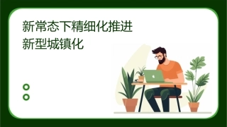新常态下精细化推进新型城镇化课件