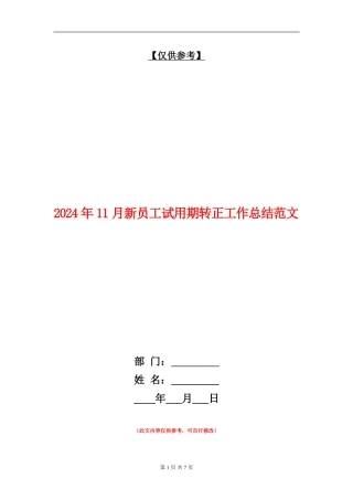 2024年11月新员工试用期转正工作总结范文