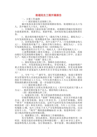 街道民生工程开展报告