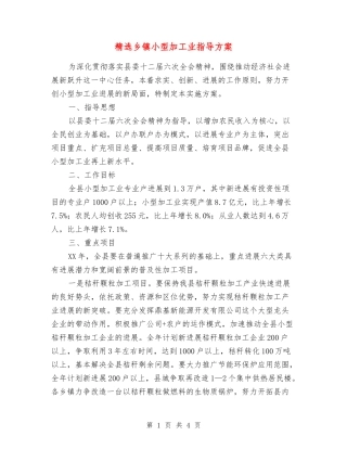乡镇小型加工业指导方案